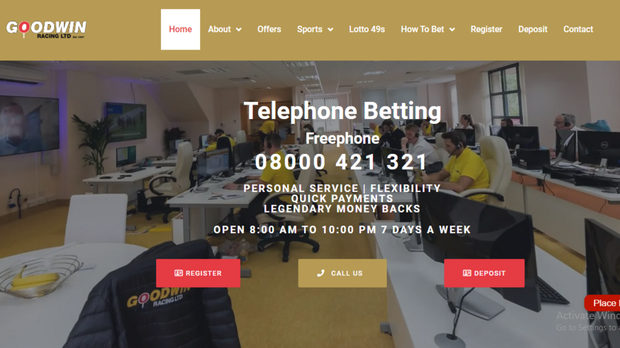 GoodWinBetting screenshot