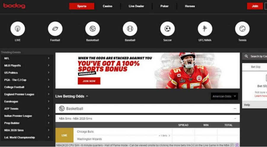 Bodog Sportsbook and Racebook screenshot