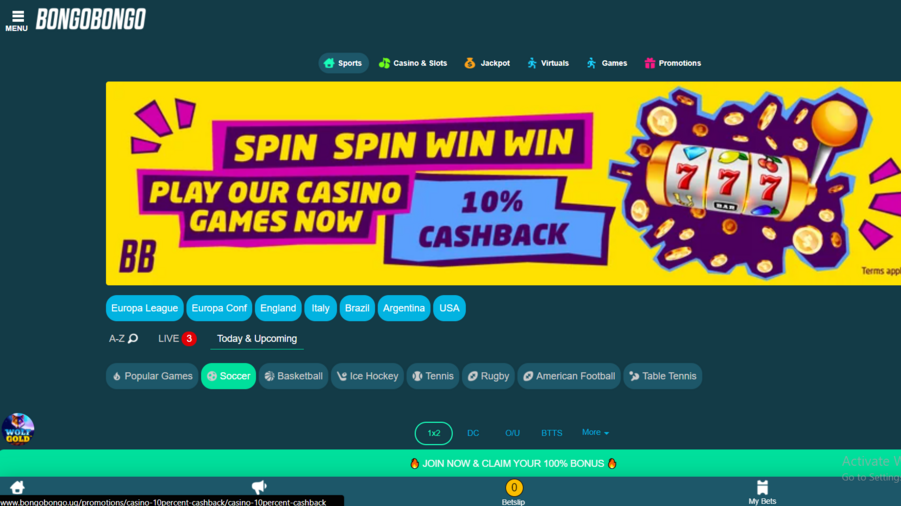 BongoBongo screenshot