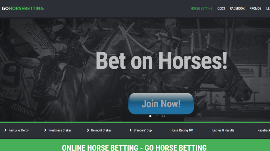 Go Horse Betting screenshot